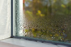 Condensation on Glass Windows